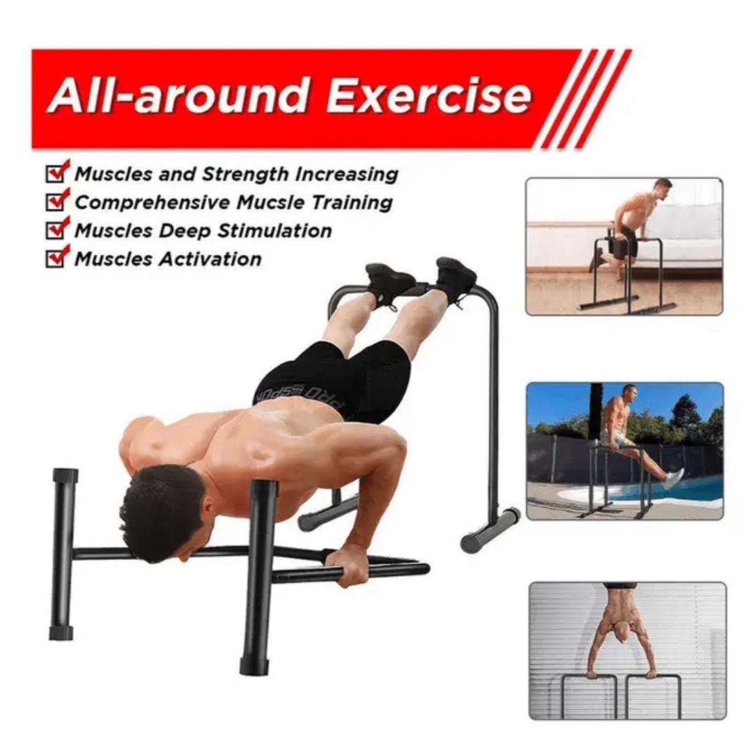 Home calisthenics dip bars
