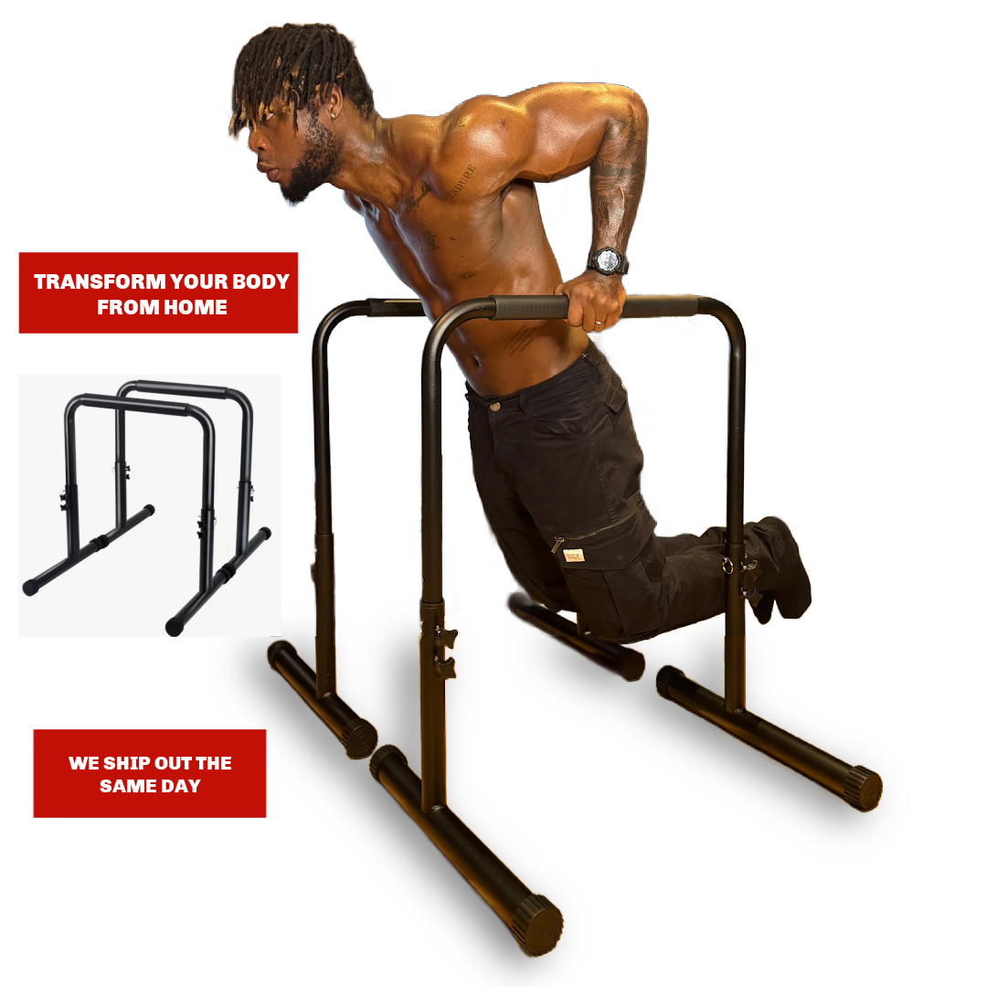 Home calisthenics dip bars